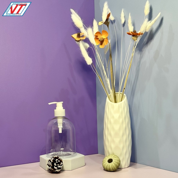 CHAI PET 500ML (VT)