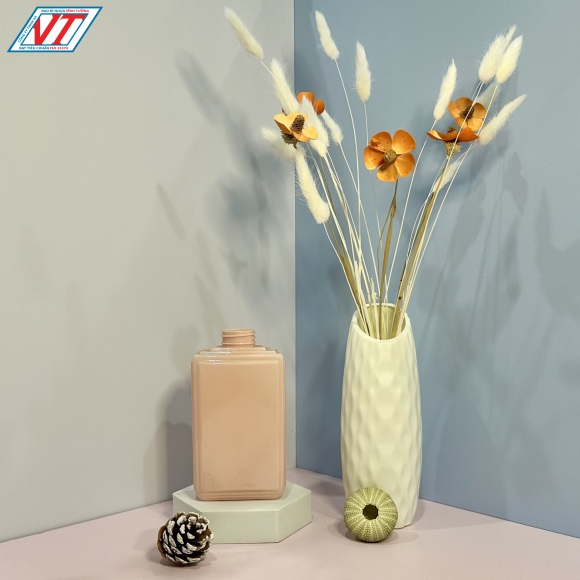 CHAI PET VUÔNG 500ML (TN)