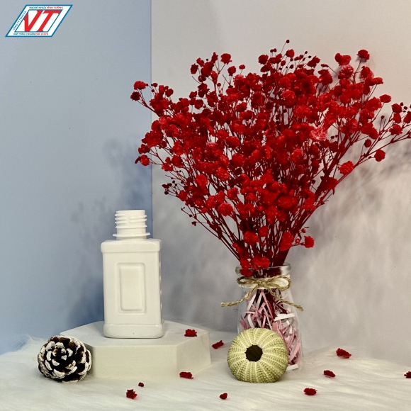 CHAI PET VUÔNG 100ML (HT)