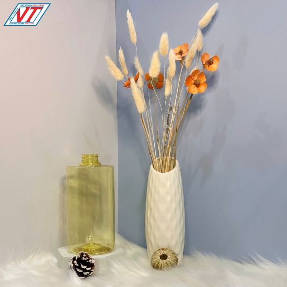 CHAI PET 1000ML KIỂU 1 (TP)
