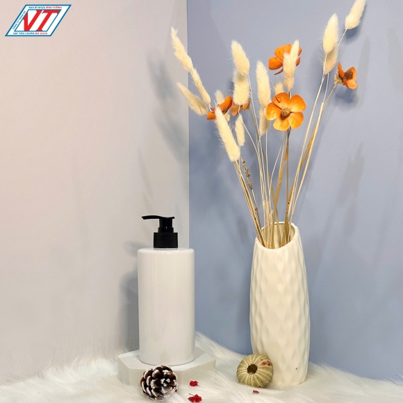 CHAI PET 500ML (GN)