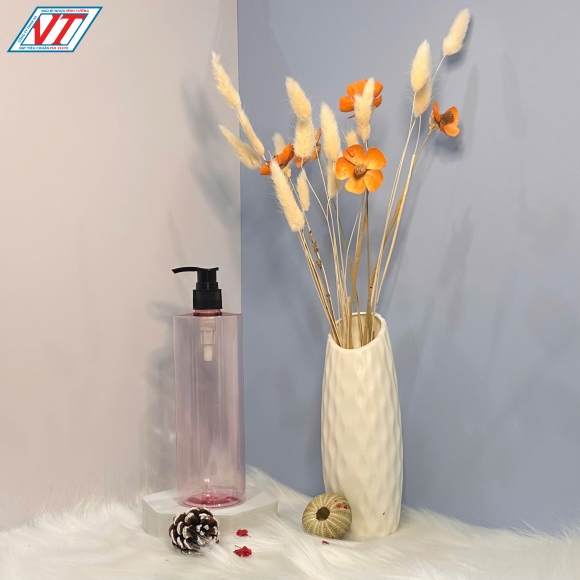 CHAI PET 500ML KIỂU 2 (APV)
