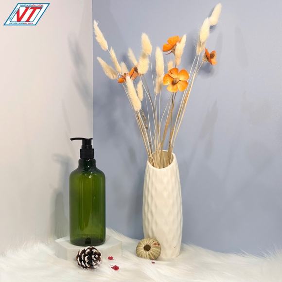 CHAI PET 500ML KIỂU 1 (APV)