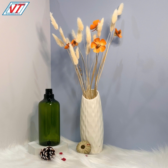 CHAI PET 500ML KIỂU 1 (APV)