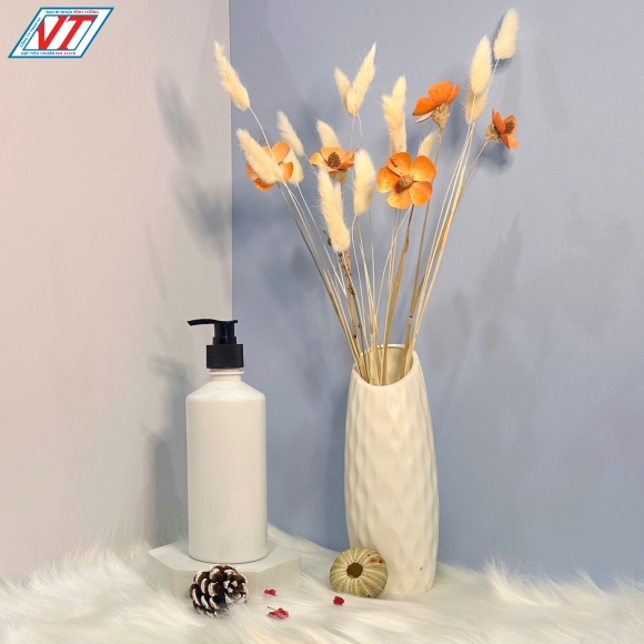 CHAI PET 450ML (AK)