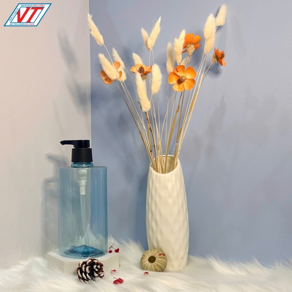 CHAI PET 1000ML KIỂU 1 (TP)